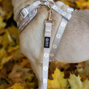 Smycz 2.5M Beige Mood