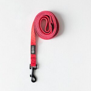 9a07830ecf231047107bce3154428529